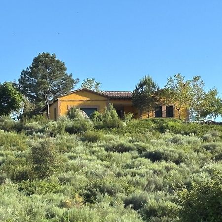 El Encuentro - Casa Rural - Аренас-де-Сан-Педро Экстерьер фото